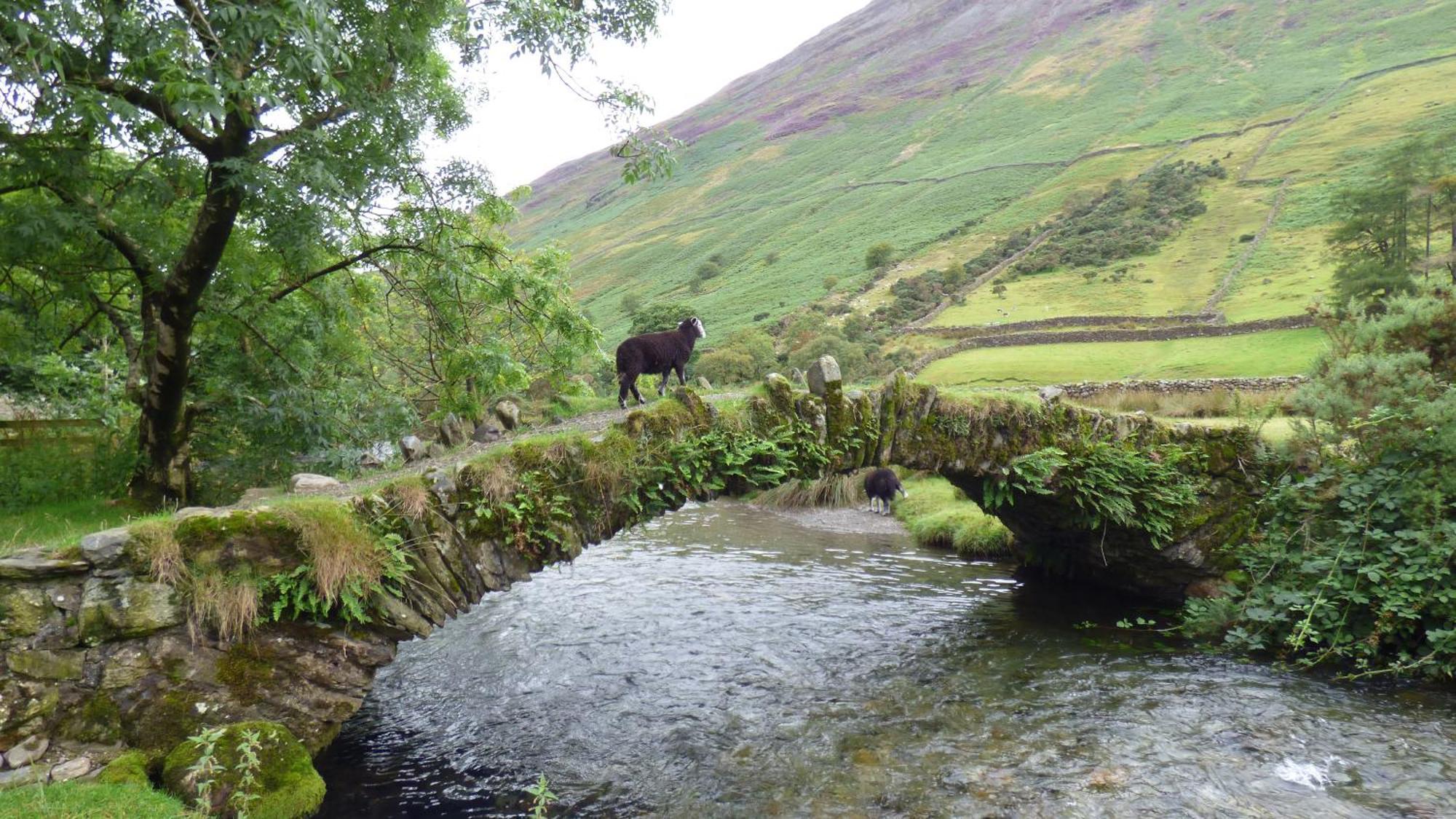 Renovated 5 Bedroom Farmhouse In Picturesque Eskdale, Lake District Exterior photo