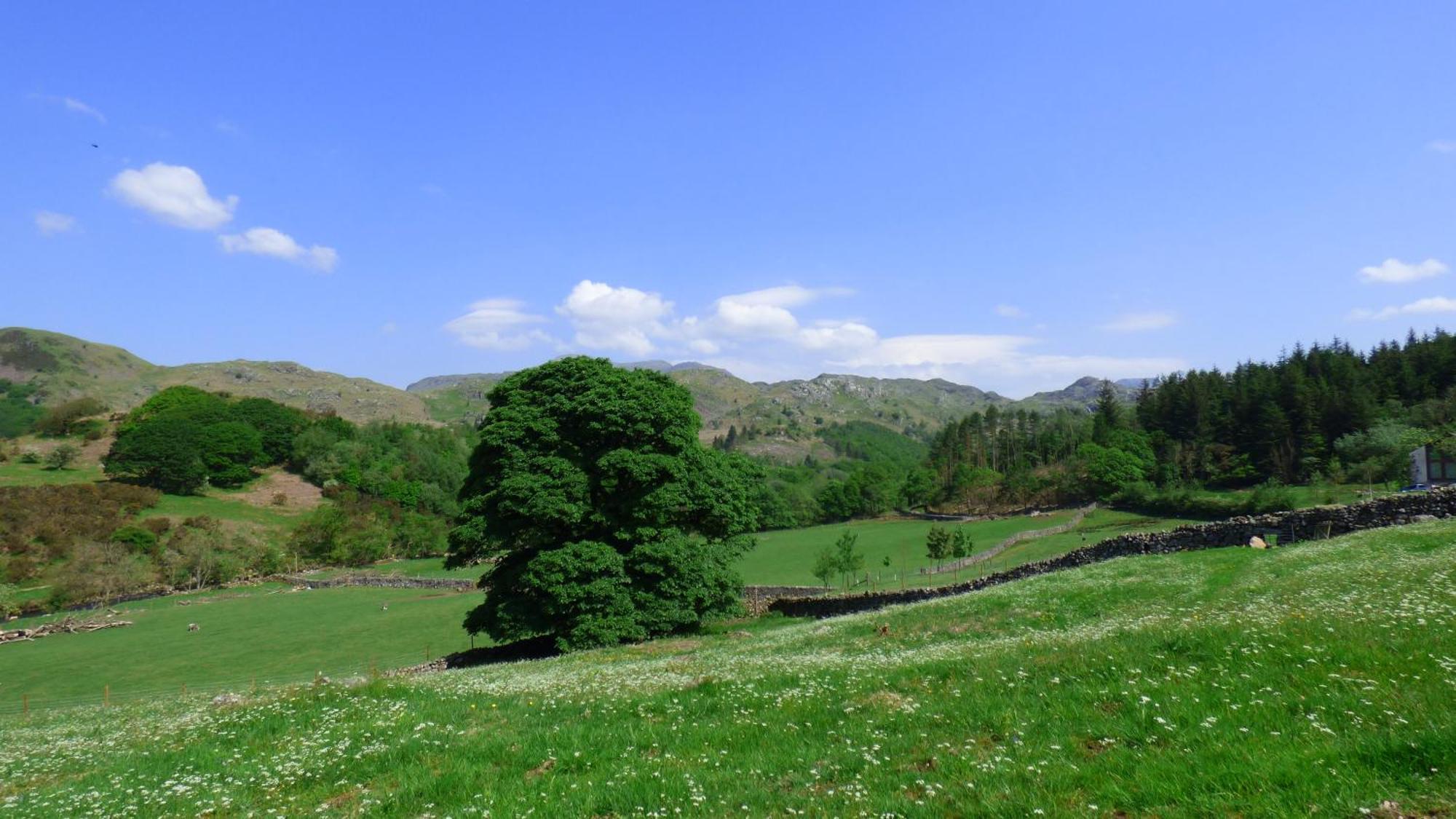 Renovated 5 Bedroom Farmhouse In Picturesque Eskdale, Lake District Exterior photo